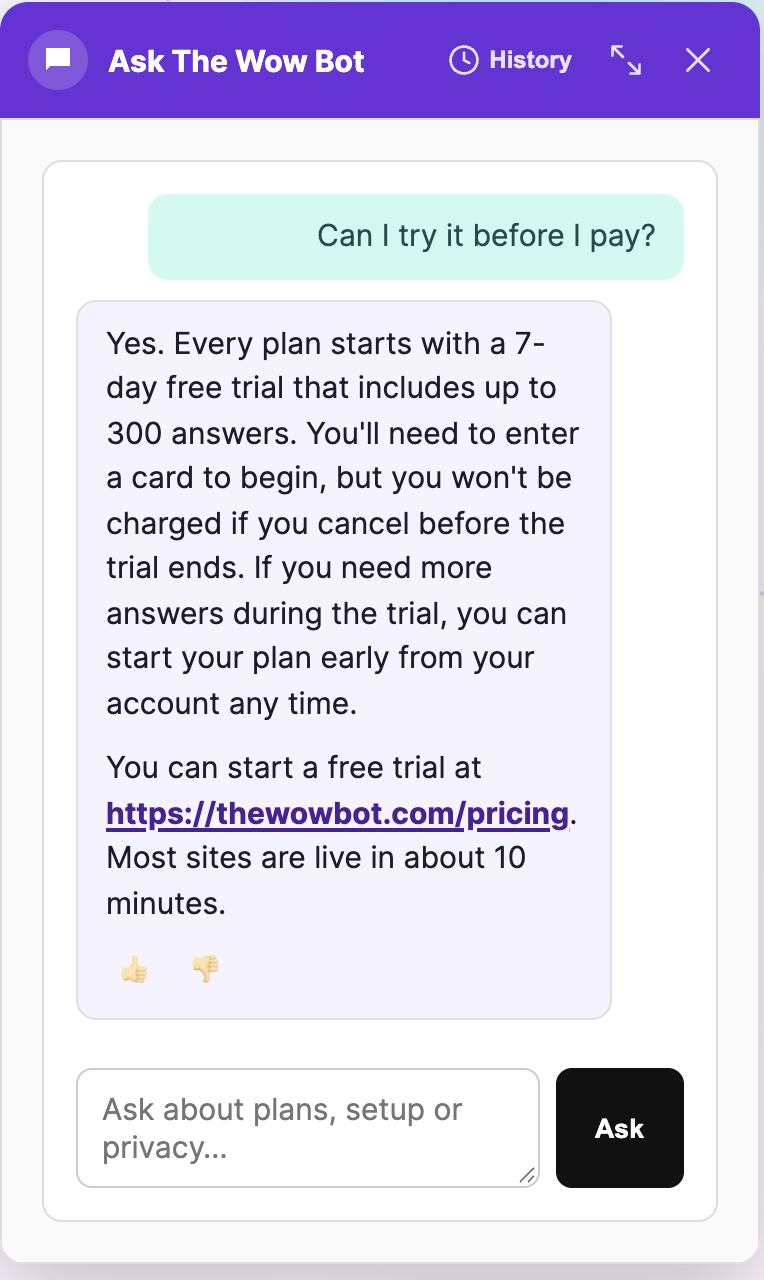 The Wow Bot chat on thewowbot.com answering a visitor who asked whether they can try it before paying